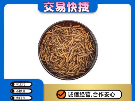 南充回收散虫草